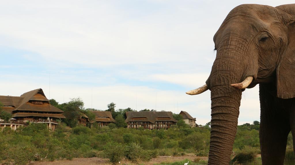 Victoria Falls Safari Suites Buitenkant foto